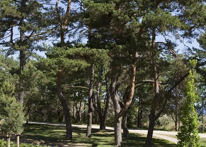 Steigenberger Grandhotel&spa